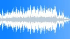 Acoustic Loop - 1 Stock Music
