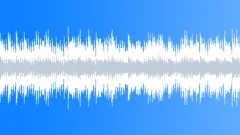 Acoustic Loop - 11 Stock Music
