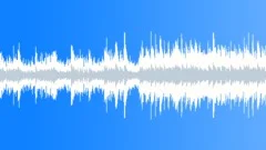 Acoustic Loop - 14 Stock Music