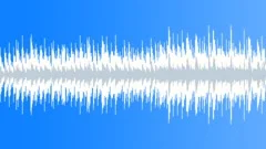 Acoustic Loop - 15 Stock Music