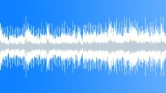 Acoustic Loop - 23 Stock Music