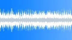 Acoustic Loop - 30 Stock Music