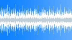 Acoustic Loop - 33 Stock Music
