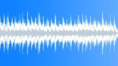 Acoustic Loop - 7 Stock Music
