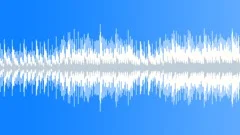 Acoustic Loop - 9 Stock Music