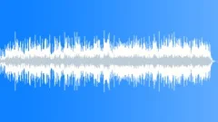 Acoustic Matrix Stock Music
