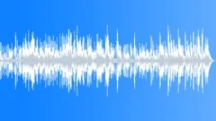 Acoustic Music for Vibrant Streamed Online T.V. Presentations Stock Music