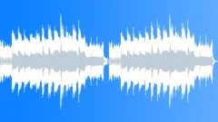 Acoustic OptomistStock Music