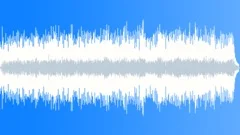 Acoustic Shuffle 2 Stock Music