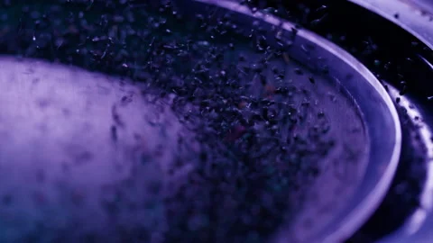 Acoustic sound system close-up, flying spices. Loud music volume macro shooting Stock Footage 169199175