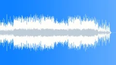 Acoustic TripStock Music