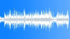 Acoustic Well Defined BGM for Authoritative Budget Films Stock Music