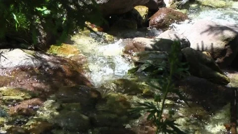 Acquafraggia torrent Video stock 154889076