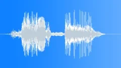 Acquired Item 05Sound Effect