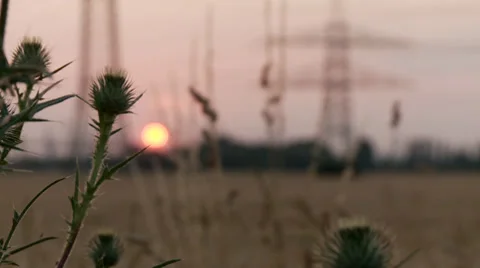 Acre in Sunset Video stock 29179260