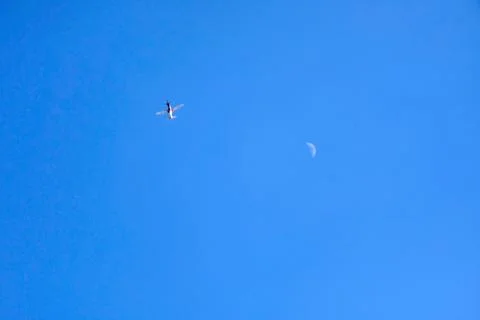 Acroabatic airplane Stock Photos