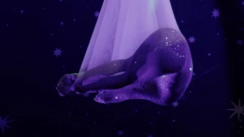 Acrobat girl performs aerial dance in purple net with sparkling costume under 動画素材 340387638