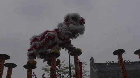 Acrobat Lion Dance show 4k Stock Footage 53050253