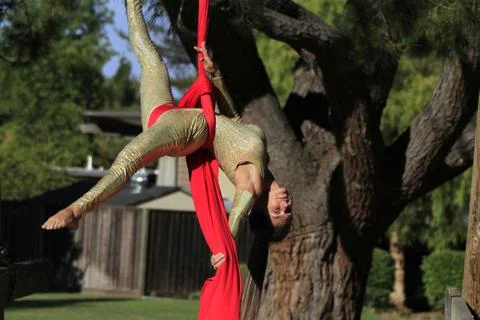Acrobat in a park Stock Photos