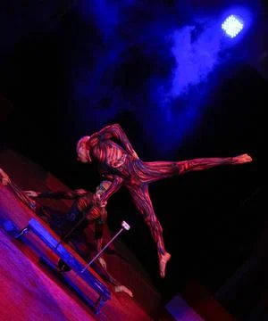 Acrobat performs a gymnastic element. fluorescent light. Stock Photos