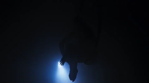 Acrobat Silhouette while Hanging from a Hoop Video stock 259879794