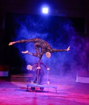 Acrobat in a tight suit performs a one-arm stand. Stock Photos