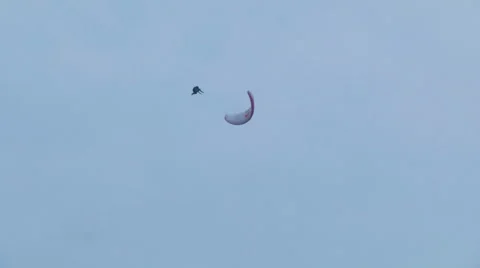 Acrobatic paragliding synchro white red 21 (slow motion) Stock Footage 40276705