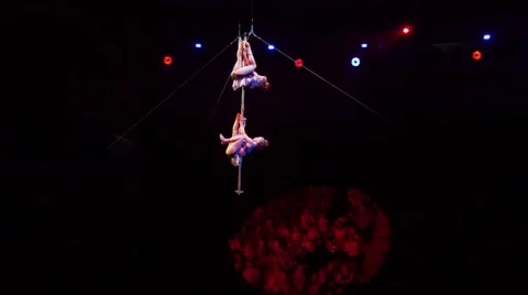Acrobatics Troupe Artist Performs At The Circus Stock-Footage 55399537