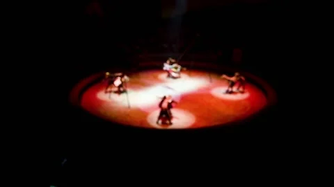 Acrobats in the circus Vídeo Stock 222586378