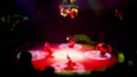 Acrobats in the circus Stockbeeldmateriaal 222586455
