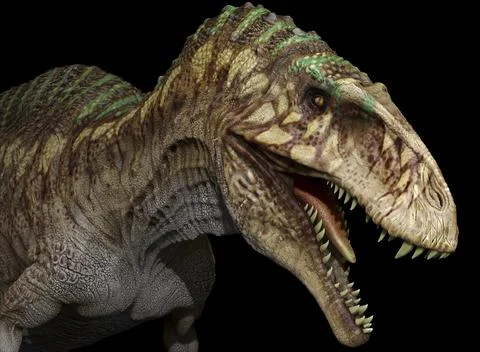 Acrocanthosaurus dinosaur head, black background. Illustrazione stock