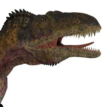 Acrocanthosaurus Dinosaur Head Stock Illustration