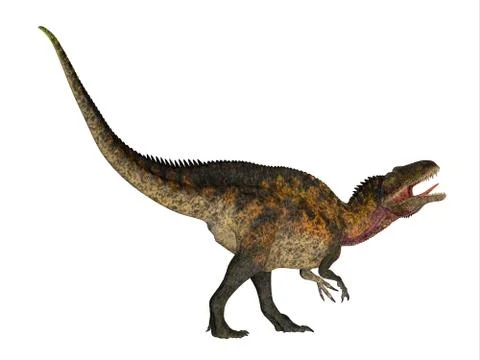 Acrocanthosaurus Side Profile Stock Illustration