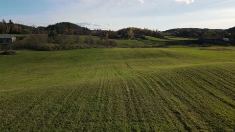 Across the different fields field at low altitude 動画素材 141227874