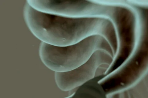 Across the DNA NTSC Stock Footage 492244
