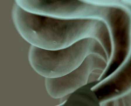 Across the DNA PAL Stock Footage 492243