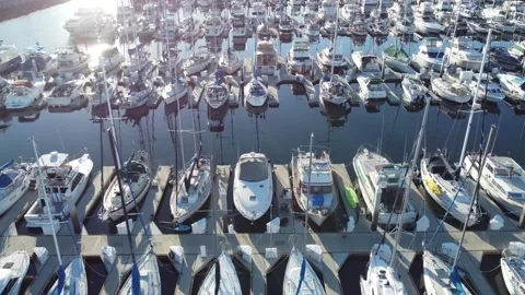 Across the Docks Stock Footage 167532618