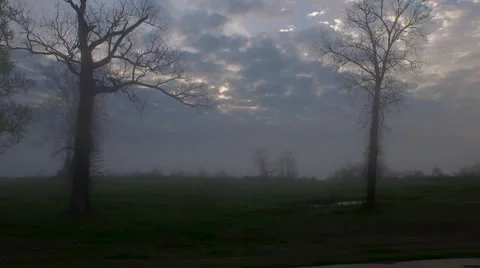 Across grass, through trees on a hazy day, skyline revealed, Baton Rouge, LA, Stock-Footage 53369085