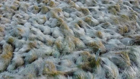 Across the icy road Stock Footage 171428113