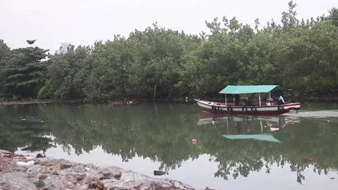 Across the river. Vídeo Stock 220755839