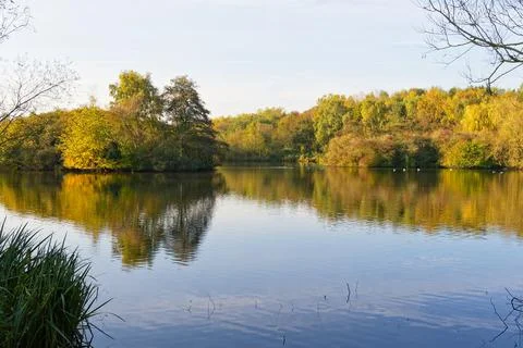 Across the surface of a calm tree lined lake on a bright autumn morning Stock Photos