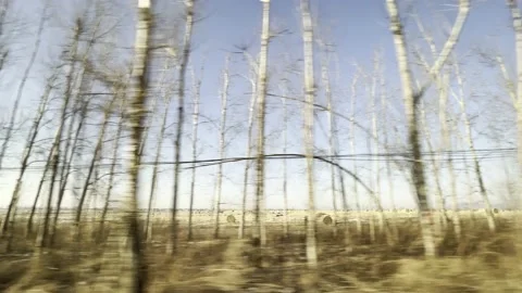 Across the woods surface Stock Footage 232082740