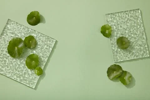 Acrylic sheets in square and rectangle shape placed on green background with  Stock Photos