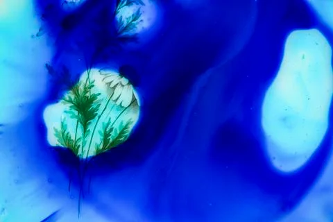 Acrylic texture with marble pattern, blue marbling background Stock Photos