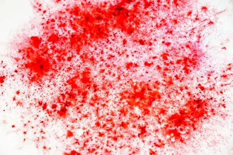 Acrylic texture with marble pattern, red marbling background Stock Photos