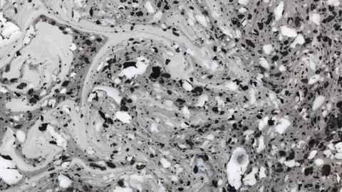 Acrylic texture with white marbling background Stock Footage 85899647