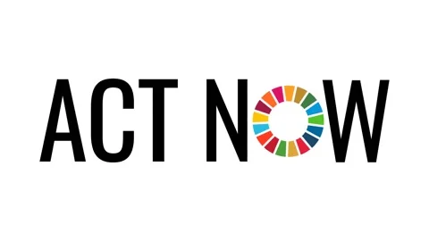 ACT NOW animated text to support the SDGs action Stock Footage 167617916