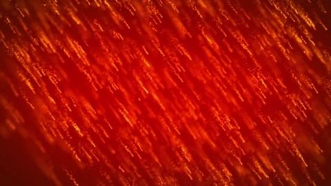 Action Atmosphere Particles Red Abstract Background Stock Footage 171781698