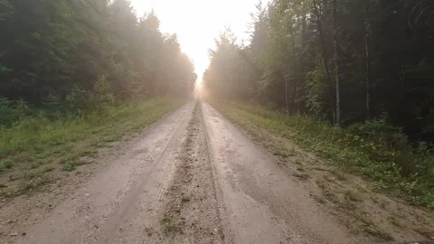 Action camera footage while driving along a narrow muddy dirt road with puddles Stock Footage 249838726