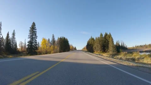 Action camera on front of car driving through an autumn forest with sun in trees Stock Footage 287857735